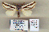  ( - 9051-140110-YE)  @12 [ ] Unspecified (default): All Rights Reserved  Unspecified Unspecified