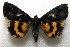 ( - 9055-100809-MI)  @13 [ ] Unspecified (default): All Rights Reserved  Unspecified Unspecified