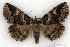  (Zale intenta - 9071-220609-MN)  @14 [ ] Unspecified (default): All Rights Reserved  Unspecified Unspecified