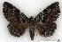  ( - 9072-220609-MN)  @14 [ ] Unspecified (default): All Rights Reserved  Unspecified Unspecified