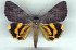  ( - 9117-050709-CH)  @12 [ ] Unspecified (default): All Rights Reserved  Unspecified Unspecified