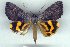  ( - 9118-070709-CH)  @14 [ ] Unspecified (default): All Rights Reserved  Unspecified Unspecified