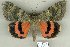  ( - 9127-270908-GR)  @14 [ ] Unspecified (default): All Rights Reserved  Unspecified Unspecified
