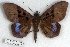  ( - 9148-010508-TH)  @13 [ ] Unspecified (default): All Rights Reserved  Unspecified Unspecified