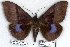  ( - 9149-010508-TH)  @14 [ ] Unspecified (default): All Rights Reserved  Unspecified Unspecified