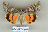  ( - 9248-210709-KA)  @14 [ ] Copyright (2008) Robert J. Borth Research Collection of Robert J. Borth