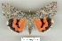  ( - 9250-210709-KA)  @13 [ ] Copyright (2008) Robert J. Borth Research Collection of Robert J. Borth