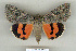  ( - 9252-210709-KA)  @13 [ ] Copyright (2008) Robert J. Borth Research Collection of Robert J. Borth