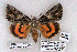  ( - 9283-290709-ME)  @14 [ ] Copyright (2008) Robert J. Borth Research Collection of Robert J. Borth