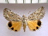  ( - 9297-210500-KA)  @11 [ ] Copyright (2008) Robert J. Borth Research Collection of Robert J. Borth