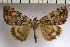  ( - 9302-130707-IN)  @14 [ ] Copyright (2008) Robert J. Borth Research Collection of Robert J. Borth