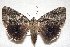  ( - 9411-050909-NC)  @13 [ ] Copyright (2011) Darryl Willis Unspecified
