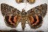  ( - 9412-100708-NC)  @13 [ ] Copyright (2011) Darryl Willis Unspecified