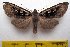  ( - 9476-100410-CH)  @14 [ ] Copyright (2011) Aidas Saldaitis Vilinus Ecological Institute
