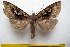  ( - 9477-100410-CH)  @13 [ ] Copyright (2011) Aidas Saldaitis Vilinus Ecological Institute