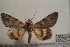  ( - 1016-240598-AI)  @12 [ ] Copyright (2011) Aidas Saldaitis Vilinus Ecological Institute