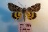  ( - 10332-140701-JA)  @11 [ ] Copyright (2011) Aidas Saldaitis Vilinus Ecological Institute