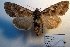  ( - 10354-050802-TA)  @14 [ ] Copyright (2011) Aidas Saldaitis Vilinus Ecological Institute
