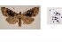  ( - 10369-310311-CH)  @12 [ ] Copyright (2011) Aidas Saldaitis Vilinus Ecological Institute