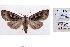  ( - 10371-050507-JA)  @13 [ ] Copyright (2011) Aidas Saldaitis Vilinus Ecological Institute