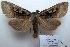  ( - 10384-310311-CH)  @13 [ ] Copyright (2011) Aidas Saldaitis Vilinus Ecological Institute