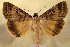  ( - 10417-000000-RU)  @13 [ ] Copyright (2011) Aidas Saldaitis Vilinus Ecological Institute