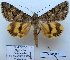  ( - 10508-250603-MO)  @13 [ ] Copyright (2012) Aidas Saldaitis Vilinus Ecological Institute