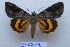  ( - 20418-310713-RU)  @14 [ ] Copyright (2014) Aidas Saldaitis Vilnius Ecological Institute