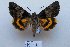 ( - 20423-280614-CH)  @14 [ ] Copyright (2014) Aidas Saldaitis Vilnius Ecological Institute
