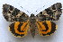  ( - 20443-250814-CH)  @14 [ ] Copyright (2014) Aidas Saldaitis Vilnius Ecological Institute