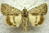  ( - 22004-070865-AF)  @11 [ ] Copyright (2017) Aidas Saldaitis Vilnius Ecological Institute