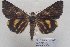  ( - 22010-130812-CH)  @13 [ ] Copyright (2017) Aidas Saldaitis Vilnius Ecological Institute