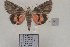  ( - 22018-300616-KA)  @13 [ ] Copyright (2017) Aidas Saldaitis Vilnius Ecological Institute