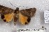  ( - 22142-050518-KA)  @11 [ ] Copyright (2018) Katsumi Ishizuka no