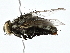  ( - BUITEMS-QBZS-60)  @11 [ ] CreativeCommons - Attribution (2022) CBG Photography Group Centre for Biodiversity Genomics