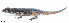  ( - RP577)  @11 [ ] CreativeCommons  Attribution Alexander Edwards (2018) Unspecified University of Plymouth