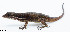  ( - RP580)  @11 [ ] CreativeCommons  Attribution Alexander Edwards (2018) Unspecified University of Plymouth