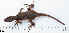  ( - RP667)  @11 [ ] CreativeCommons  Attribution Alexander Edwards (2018) Unspecified University of Plymouth
