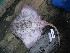  ( - acas1)  @13 [ ] Unspecified (default): All Rights Reserved  Unspecified Unspecified