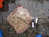  ( - acas3)  @14 [ ] Unspecified (default): All Rights Reserved  Unspecified Unspecified