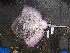  ( - acas3)  @13 [ ] Unspecified (default): All Rights Reserved  Unspecified Unspecified