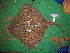  ( - acas5)  @14 [ ] Unspecified (default): All Rights Reserved  Unspecified Unspecified