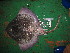  ( - acas5)  @13 [ ] Unspecified (default): All Rights Reserved  Unspecified Unspecified