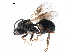  ( - CCDB-29473-A08)  @11 [ ] CreativeCommons - Attribution (2018) CBG Photography Group Centre for Biodiversity Genomics
