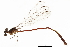  ( - CCDB-29473-B01)  @11 [ ] CreativeCommons - Attribution (2018) CBG Photography Group Centre for Biodiversity Genomics