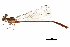  ( - CCDB-29473-B02)  @11 [ ] CreativeCommons - Attribution (2018) CBG Photography Group Centre for Biodiversity Genomics