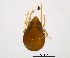  ( - BIOUG15123-F06)  @11 [ ] CreativeCommons - Attribution (2014) CBG Photography Group Centre for Biodiversity Genomics