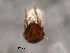  ( - BIOUG16752-H05)  @11 [ ] CreativeCommons - Attribution (2014) CBG Photography Group Centre for Biodiversity Genomics