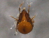  ( - BIOUG16752-H06)  @11 [ ] CreativeCommons - Attribution (2014) CBG Photography Group Centre for Biodiversity Genomics