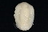  ( - BIOUG12670-G11)  @12 [ ] CreativeCommons - Attribution (2014) CBG Photography Group Centre for Biodiversity Genomics